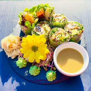 Fresh Spring Rolls Katsu