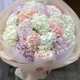 Cotton Candy Hydrangea - Bouquet XXL