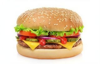 Hamburger