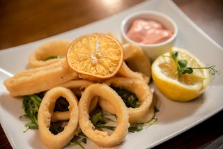 Fritto calamari