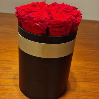 Infinity 12 : rose eterne 