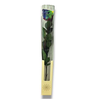 Rosa arcoíris Eterna 