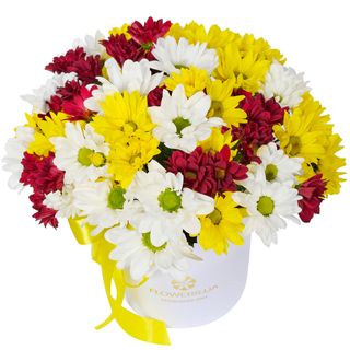 Композиція "Барви хризантем" 