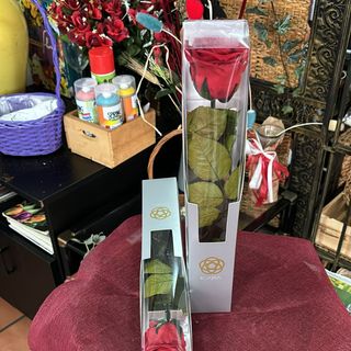 Rosa Eterna Preservada 