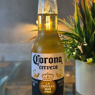 CERVEZA CORONA