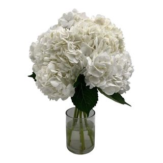 Ramo de 5 hortensias blancas premium