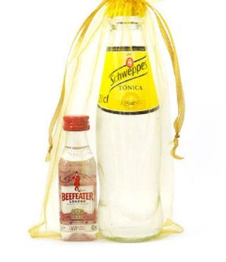Kit Beefeter mini + refresco 