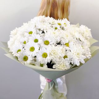 შერეული ქრიზანთემებთან 3044