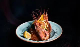 Obrok salata Hanan