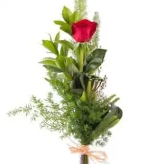 Ramo 1 rosa