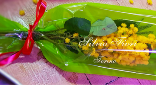 Mazzo solo mimosa confezionato col tubolare M