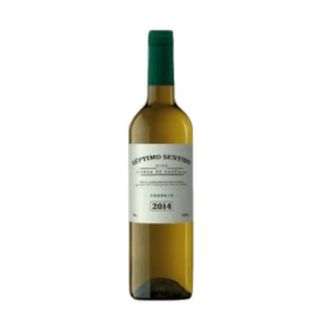 Botella de verdejo