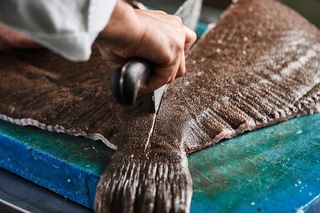 Rodaballo Fresco Crudo