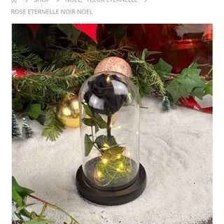 Rose éternelle Lumineuse noir