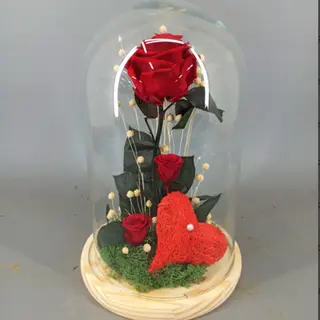 Rosa Preservada Roja en Cúpula "Bella y Bestia"