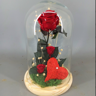Rosa Preservada en Cúpula "Bella y Bestia" (Roja)