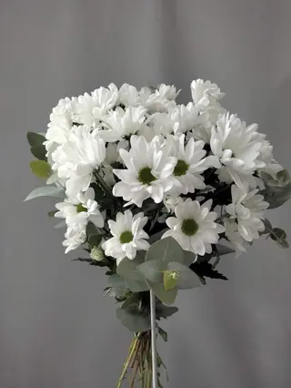 Ramo margaritas blancas