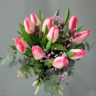 Ramo tulipanes bicolor- rosado