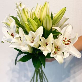Ramo de lilium blanco