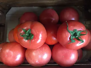 Розов домат 