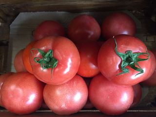 Розов домат 