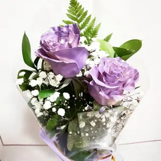 2 Rosas malvas