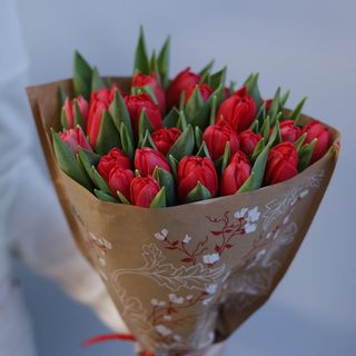 Bukiet z 25 czerwonych tulipanów