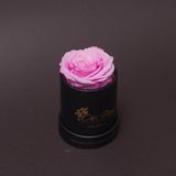 Trandafir criogenat roz în mini-cutie neagra