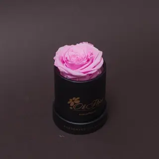 Trandafir criogenat roz în mini-cutie neagra