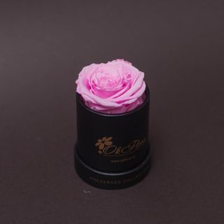 Trandafir criogenat roz în mini-cutie neagra