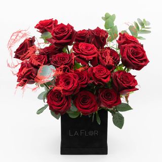 Amor Box 21