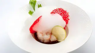 Tartar Amaebi
