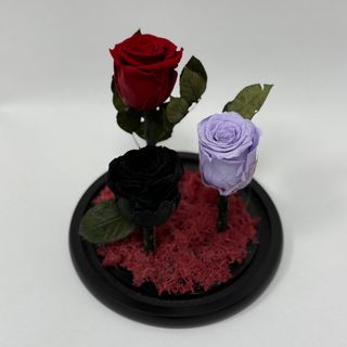 3 trandafiri criogenați în cupolă