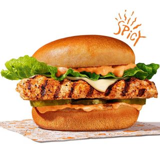 Spicy Grilled Chicken Sandwich