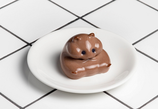 Хомо-пудинг