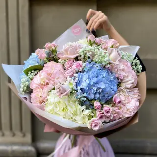 Candy Crush Hydrangea 