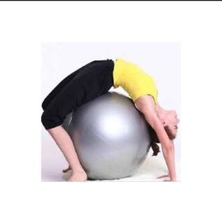 Gym Ball Gris 65cm