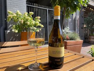 Біле сухе вино Піно Гріджіо Gerardo Cesari Італія мл