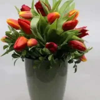TULIPAS VALERY