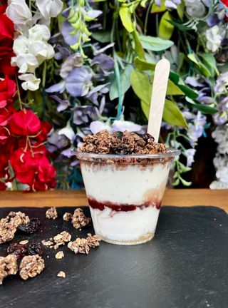 Супер гръцко кисело мляко (250гр)