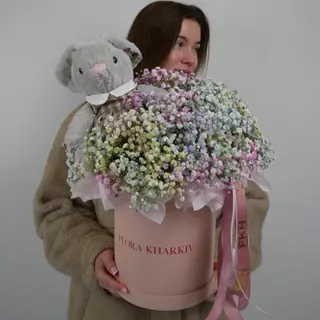 гіпсофіла в боксі з іграшкою. розмір М