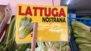 Lattuga nostrana 1 pezzo