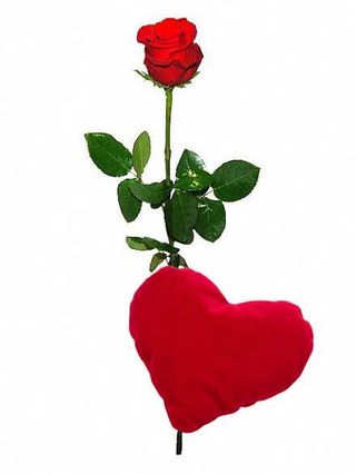 Rosa Con peluche Corazón