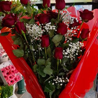 12 rose rosse con nebbiolina 