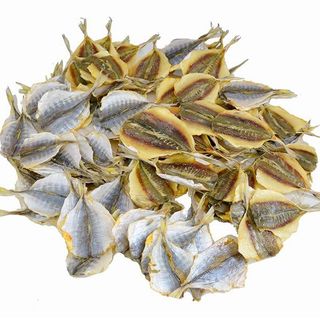 Ostrobok Suszony Ok.100g