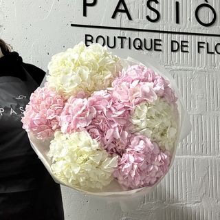 7 Колумбійських гортензій