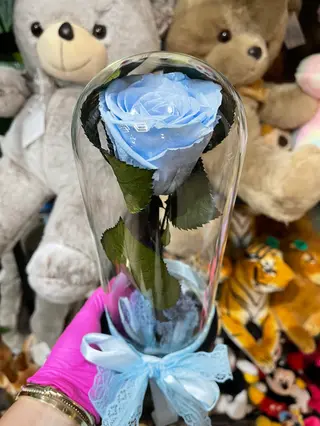 Crio Bleu Ciel Rose