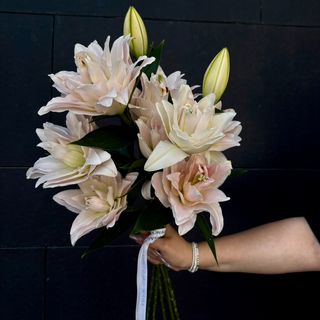 Ramo de 3 Lilium Lotos Rosado