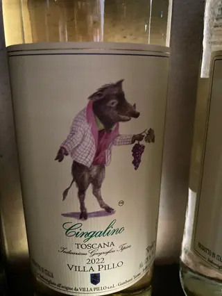 Cingalino Villa Pillo