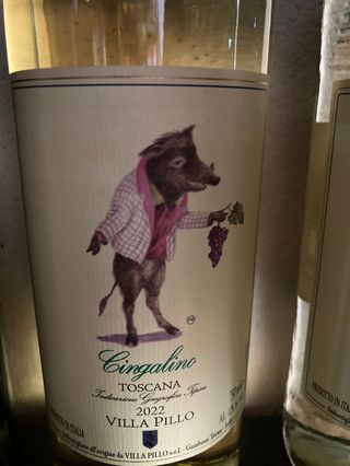 Cingalino Villa Pillo